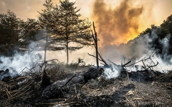 Оценка ущерба после стихийного бедствия в Улан-Удэ: отчет оценщика